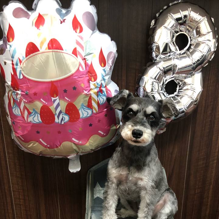 E00526bc 7da9 4d8a ad3b 399d0f64c508 1716112305045