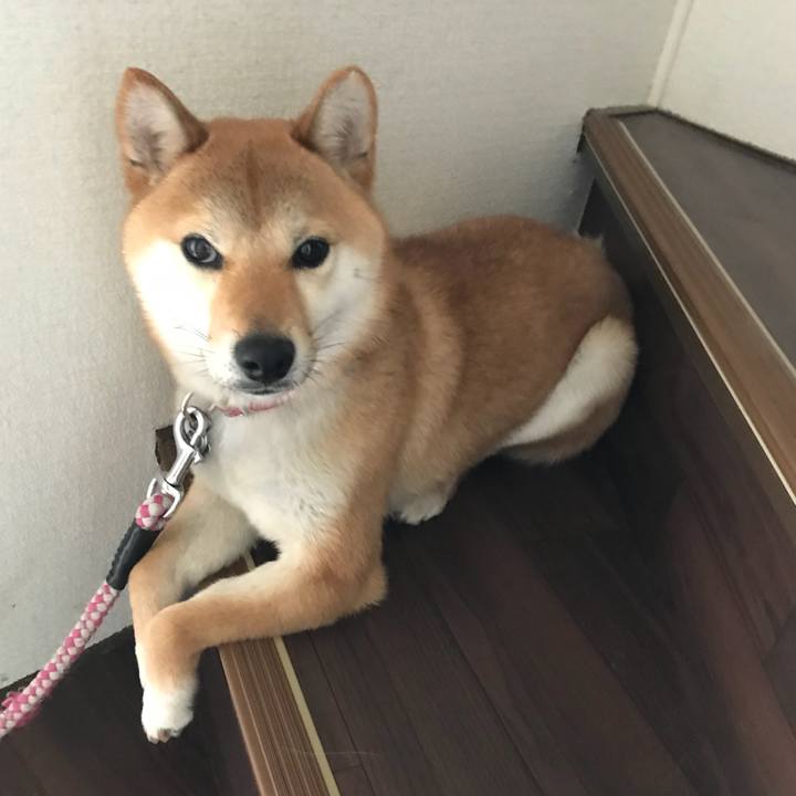 E00535a8 bd2e 40ed b518 ea7c7bb04c1e 1523072292528