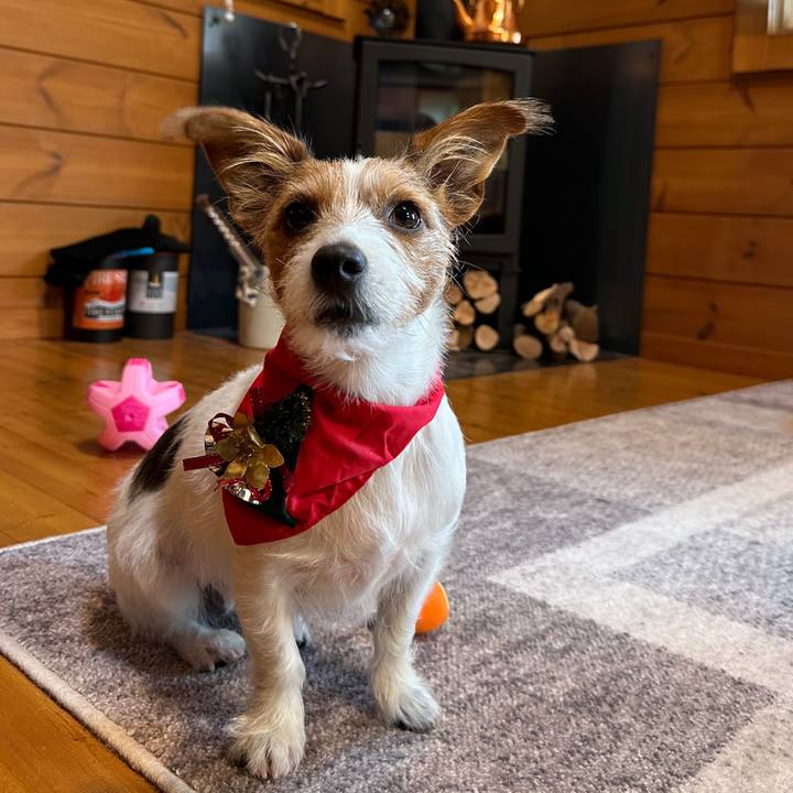 E0053c1b a388 427b af80 ce1a261d67b3 1766572047255