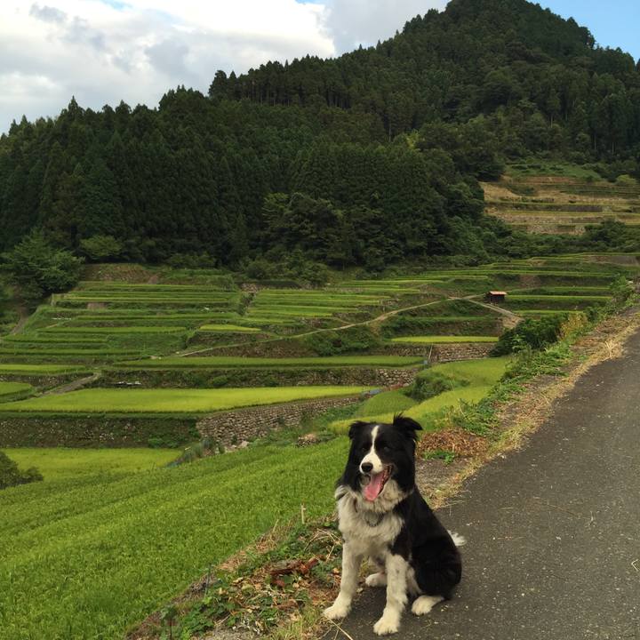 E0053d2b 0271 47c4 841d 2b283b847ce0 1535373042407