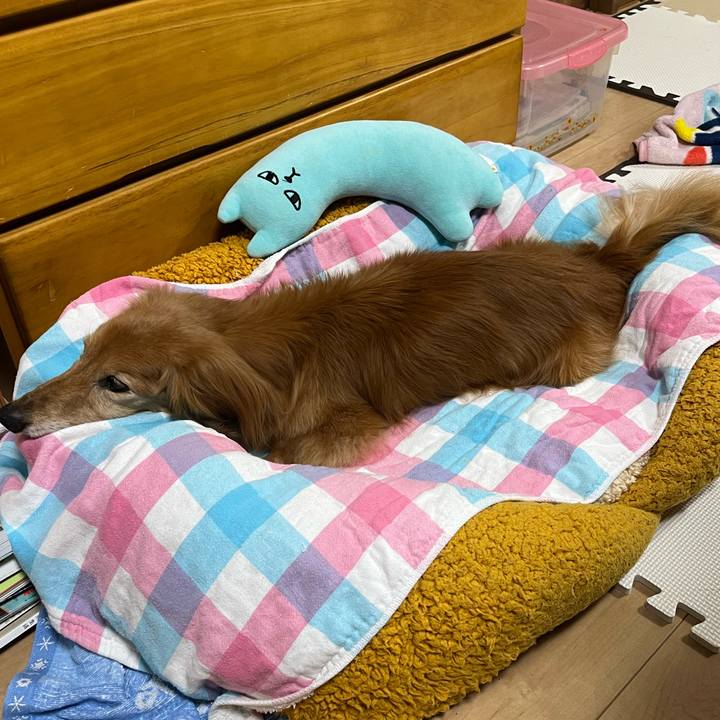 E0059ffb e3dc 4bb9 b3a3 a3a868a99a3e 1682343080717