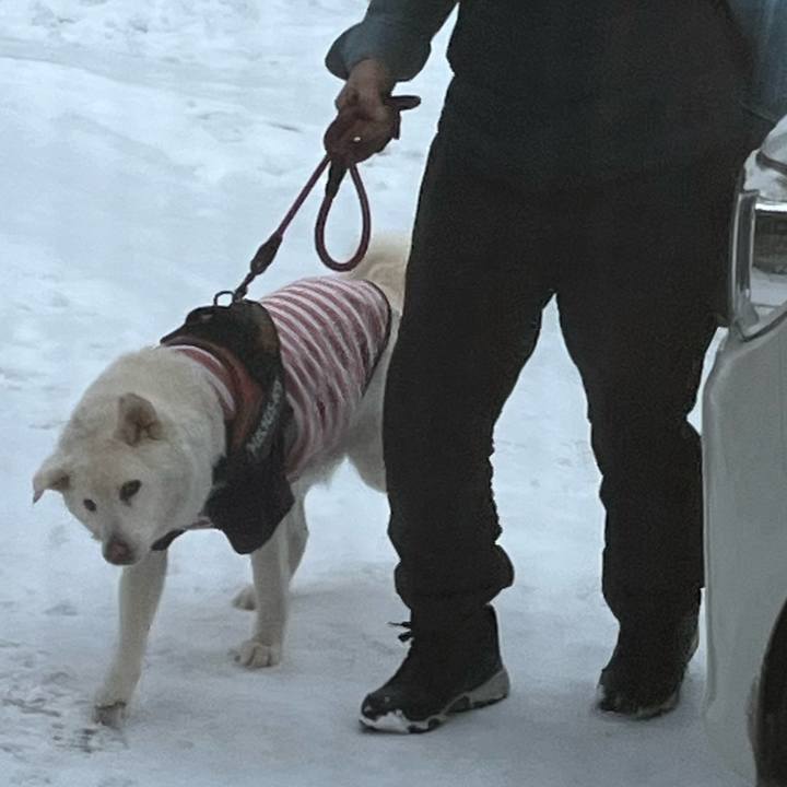 E005bfc5 2b99 4843 a17c 3e62d9e7046d 1768434465088