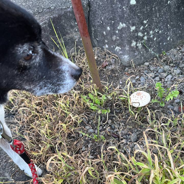 E006076e 2576 4d0d b32f cab453d5dc8c 1688385965795