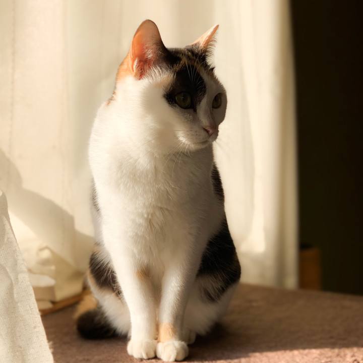 E0063414 b2e0 424f 8c51 7f255546e942 1577407470605