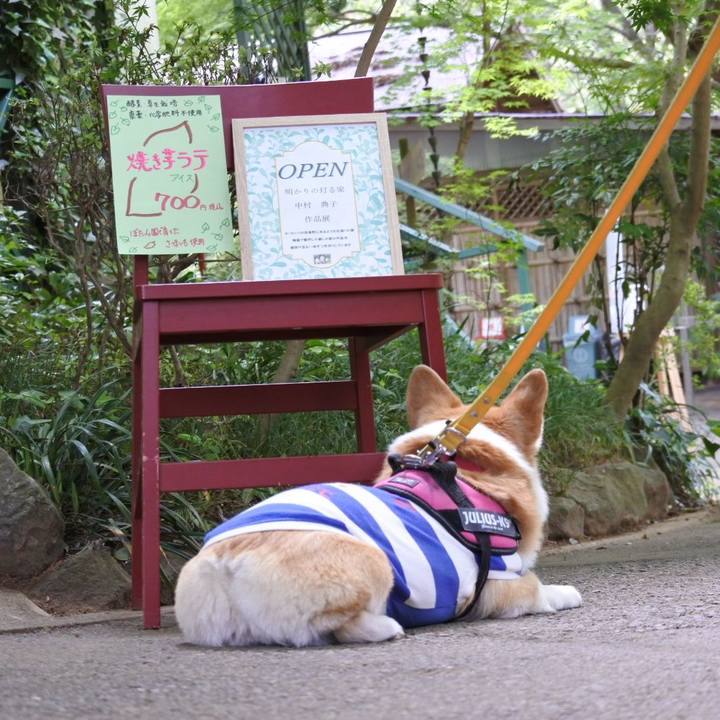 E0063d94 8c9c 4d59 9495 8d6d83e881ab 1714229081705