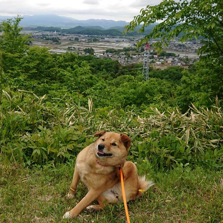 E006432d 7816 4878 ba23 4959ec9ae661 1620897090343