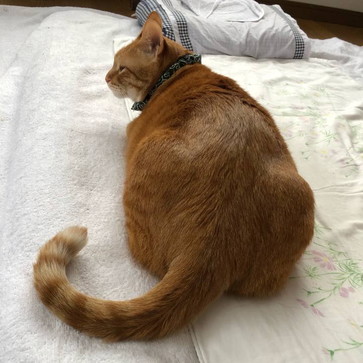 E00644af d00c 46f3 88b3 fa72314770e0 1577834302656