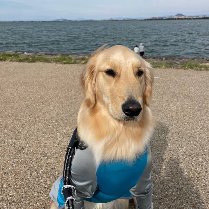 E00649e2 be80 40c2 b2c5 f64efef94d2e 1743589555623