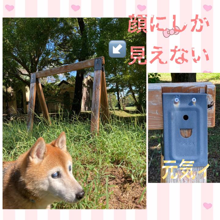 E0066b4a 3bf9 4834 b1d4 84deb379d0df 1757131750493