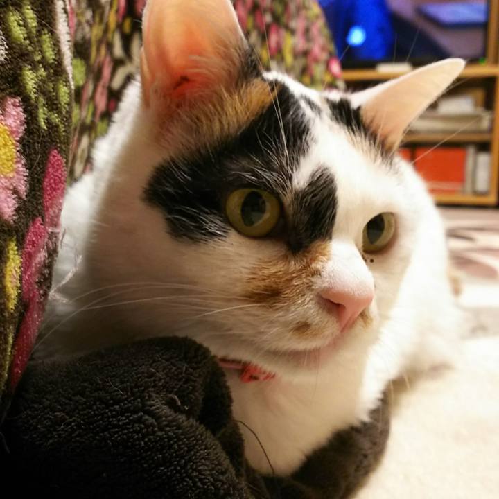 E0068320 b98c 4b48 98b4 357843c666ed 1544266875511