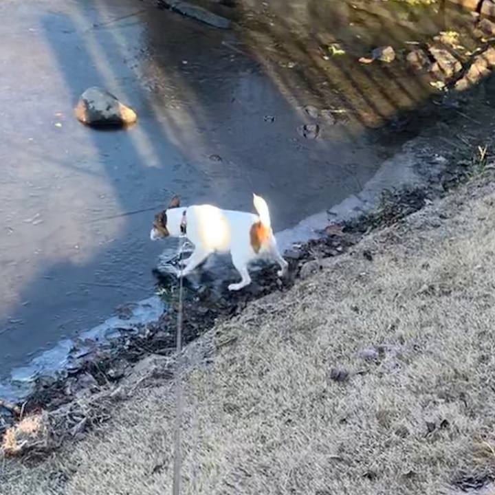 E0069bfb dc7f 493c 863a f4ce1d54895c 1546567754109