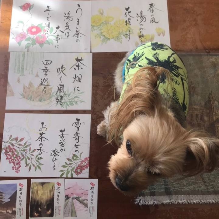 E0069c4c dc4e 4015 a7c9 0750c5e4f9b1 1552090882430