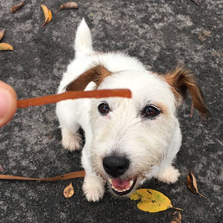 E006e8fd c58b 448c 8c69 24384812582e 1537057209212