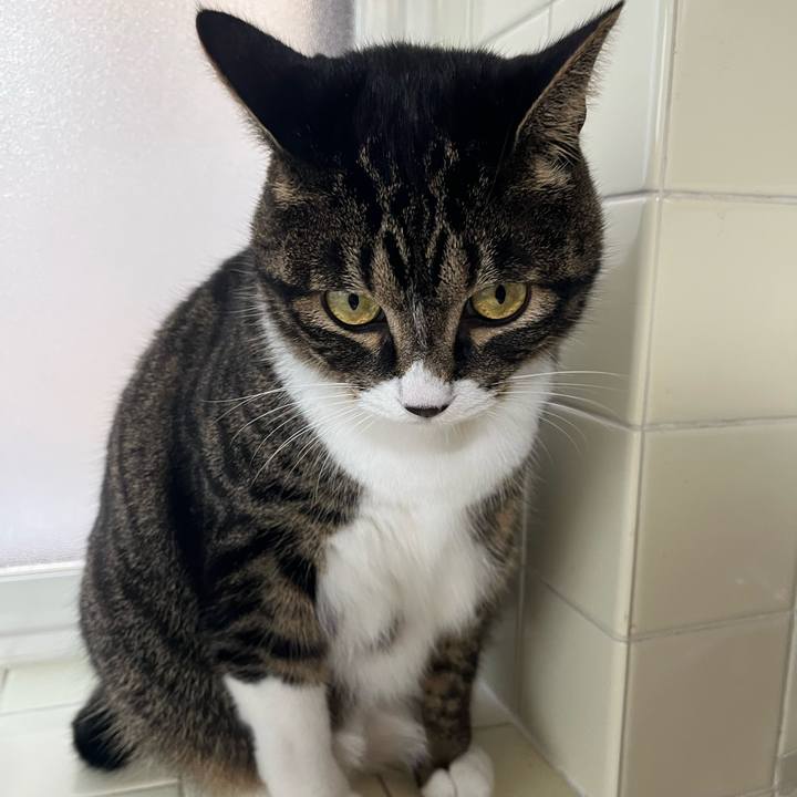 E006fbac 4b51 44c7 98f0 50e9c3399bb3 1761091862971