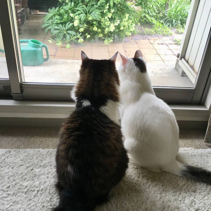 E0070f8e 2c57 4c53 95de 5027d3229a66 1524461373262