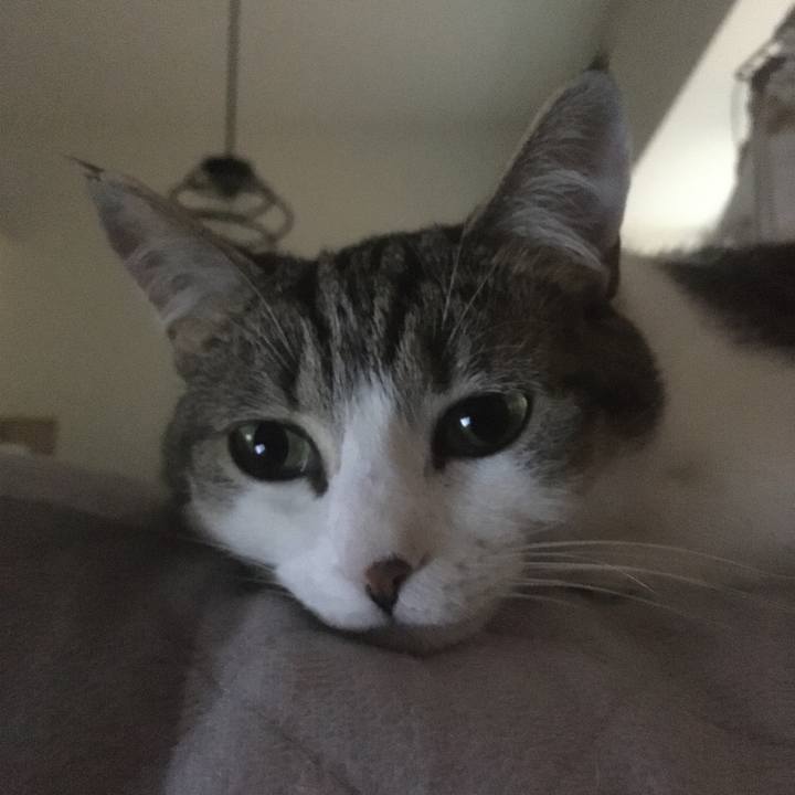 E0071533 9c78 495a 8f4f 9d1b07c6285f 1654905523776