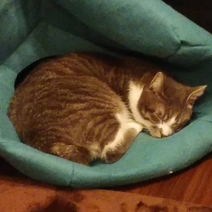 E0074055 c181 4908 849a 0b6d61f06429 1583834411168