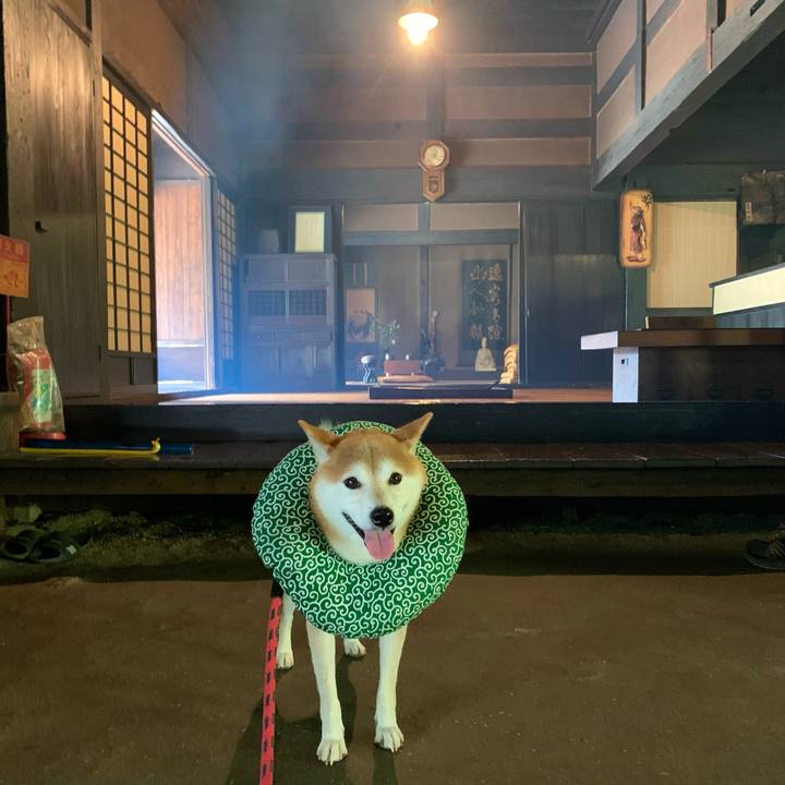 E0074b21 281a 400b 99db f3d6043965da 1634373884397