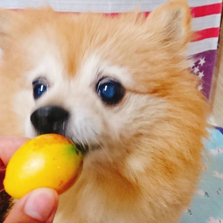 E007943f e26e 4409 8689 71a7f2dd1b04 1560554547316