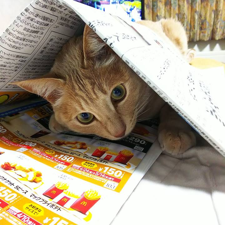 E0079b85 2107 492a a3b9 12d8b5458b11 1586526745494