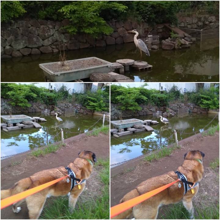 E007c3e7 94cc 415d b502 4a87e1f197ee 1559731866047