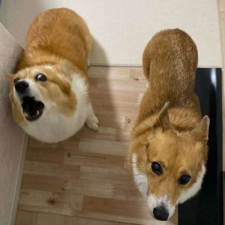 E007dd7d 8fa8 4e1b 9aec ec173df2bd2d 1698623947540