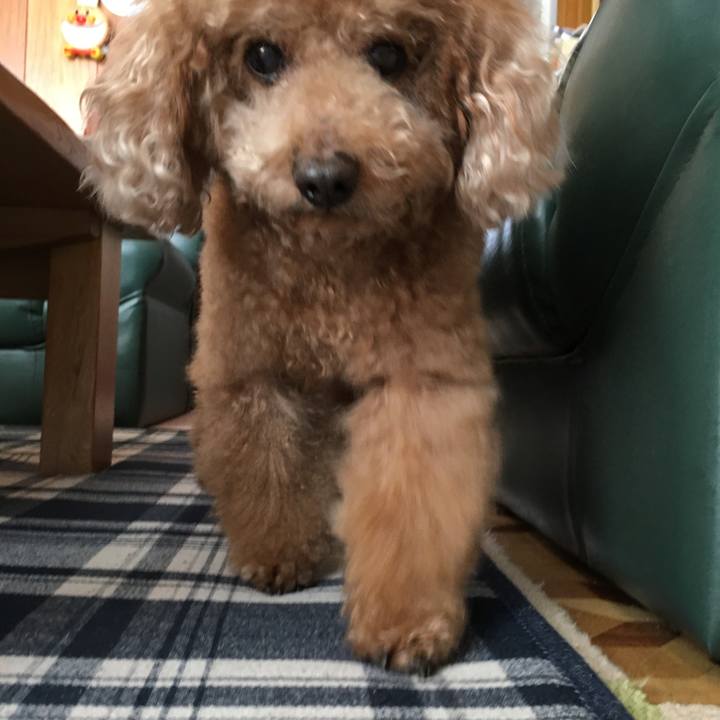 E007e2c4 469f 499e 89c7 26f4671ad30b 1521684119702