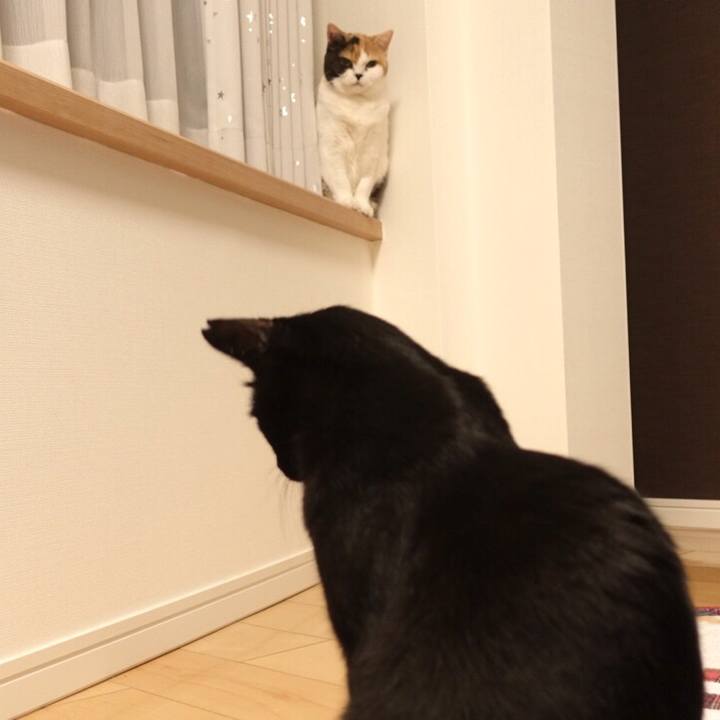 E007e452 be5a 47a9 ba83 92fa8685605d 1569941282576