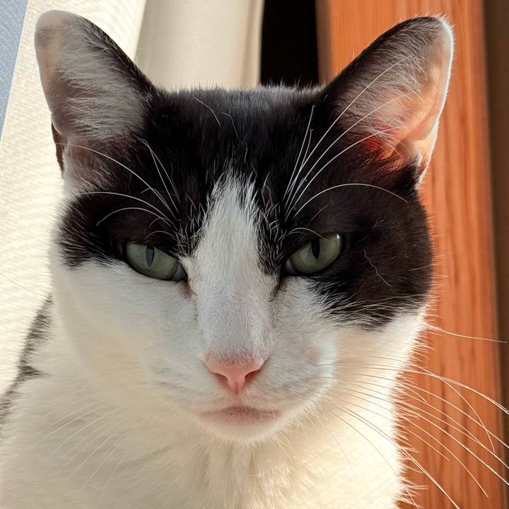 E0080c01 d684 42f4 96ef 6ad06de12609 1733191483023