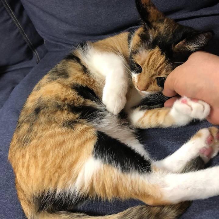 E00816ce 3daf 4713 be15 86e212fb739f 1529588256478