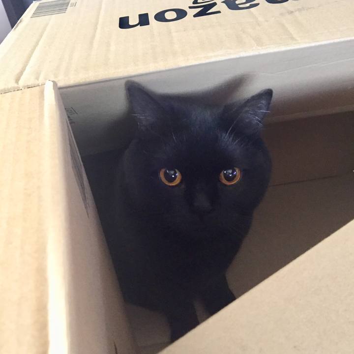 E00822ff 9fbb 410d abfc 0d3e768e7245 1524954061690