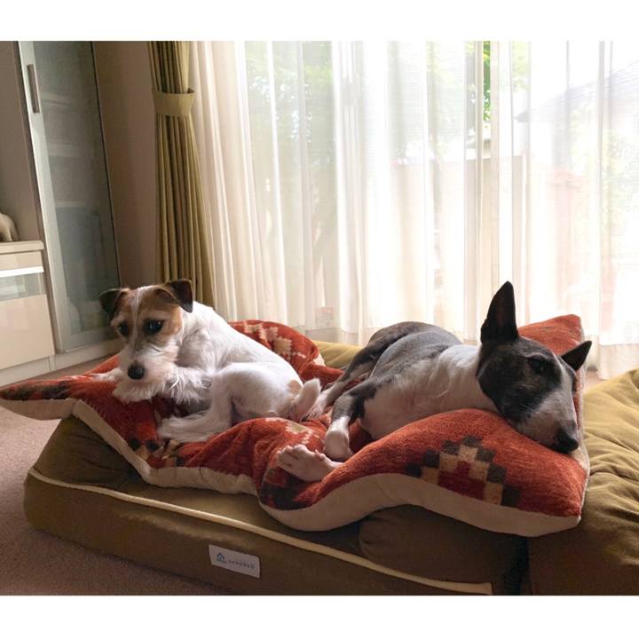 E008257f ff87 476d a5ea be94746c3d43 1596778647988