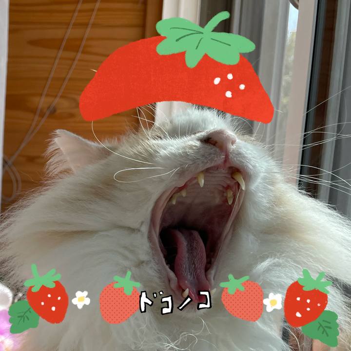 E0087d0f 6a00 4b8e 9d39 38b9de9da4bc 1775210537455