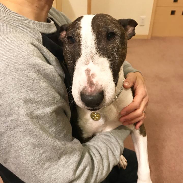 E008a576 b8dc 44b8 8d46 1be771c35787 1515063210436