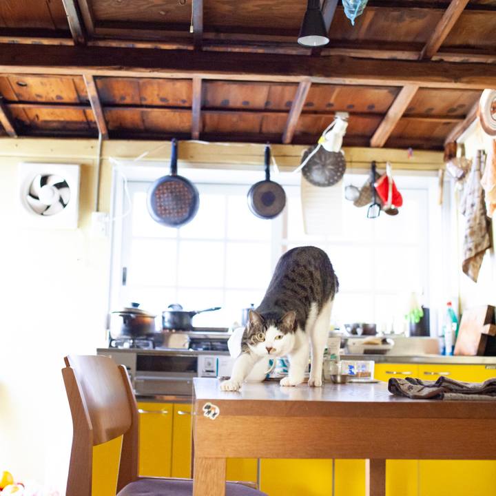 E008ae89 5333 4678 8961 ba4909a16550 1549849274796