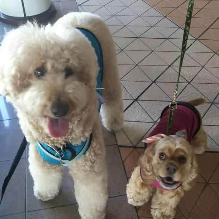 E008c95e 4fb5 47b0 a6d3 62fa42e7098f 1520666410244