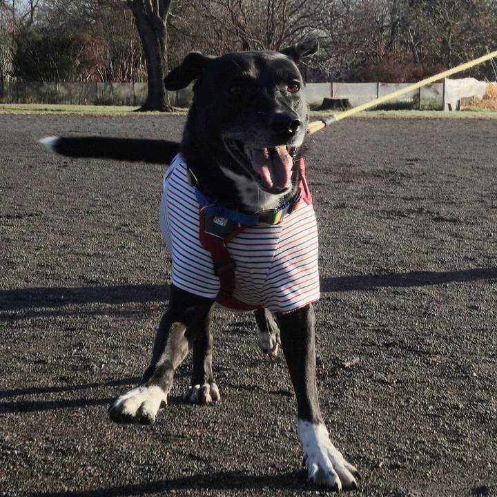 E008dd9d fdf7 4541 b609 153c45ea9f4a 1670980478715