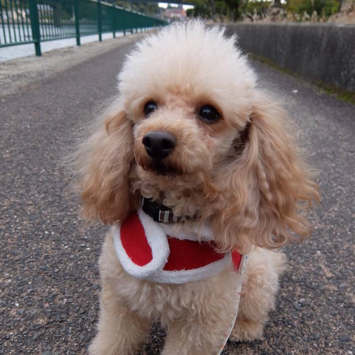 E00933b8 9039 4062 b80f 9b59dce906f1 1512302180197