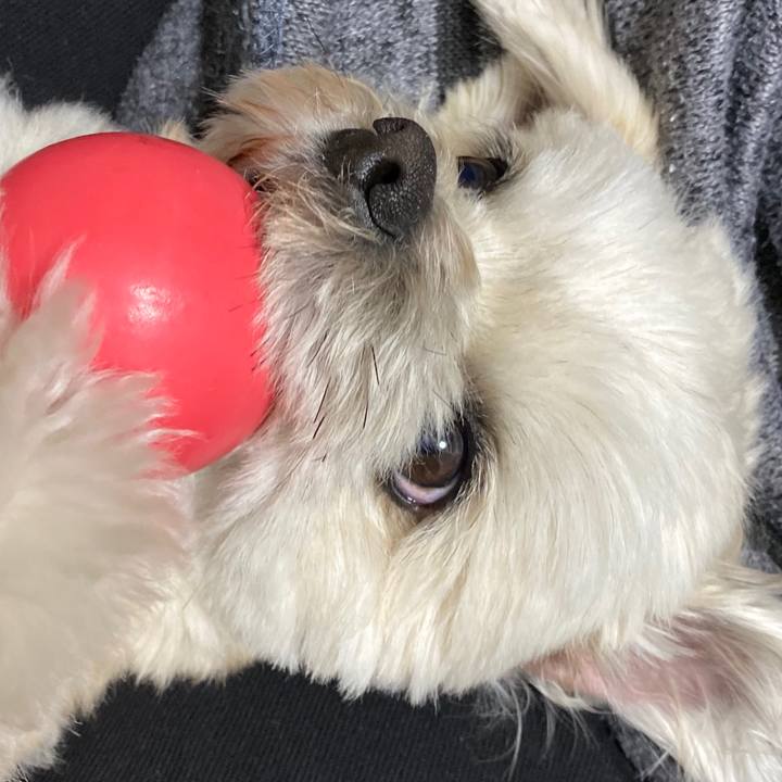 E00948de d2fc 4ff2 b429 0570eca22af4 1582632883892