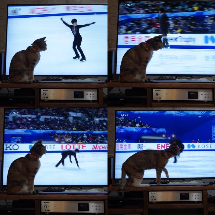 E0099c15 0997 45f0 a53c e8437f0584d8 1606563084296