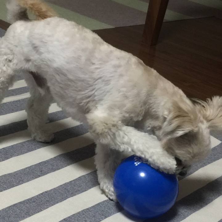 E009d2f5 b799 4188 9016 2fda45e33459 1514115564103