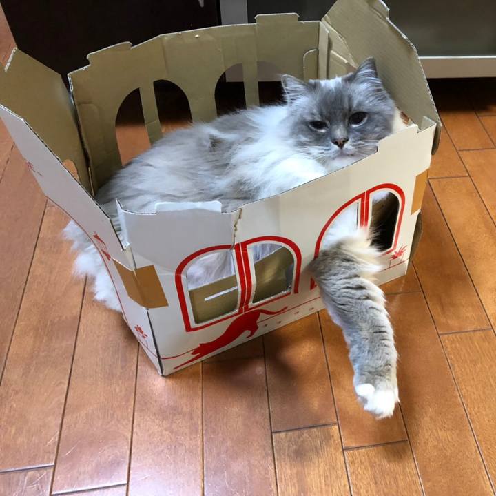 E009d9a1 d213 4a50 be3a 7295dd2918e4 1549443697102