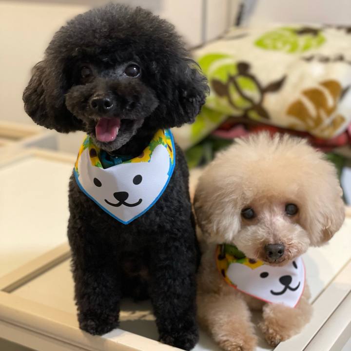 E009f433 aa93 4647 ab23 1d639d683afd 1628509035061