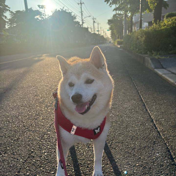 E00a440b e9e3 4bc0 9710 46c5f4938553 1749850531498