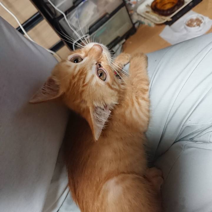 E00a50d3 ba48 453b bd10 03120a295ac8 1629367742943