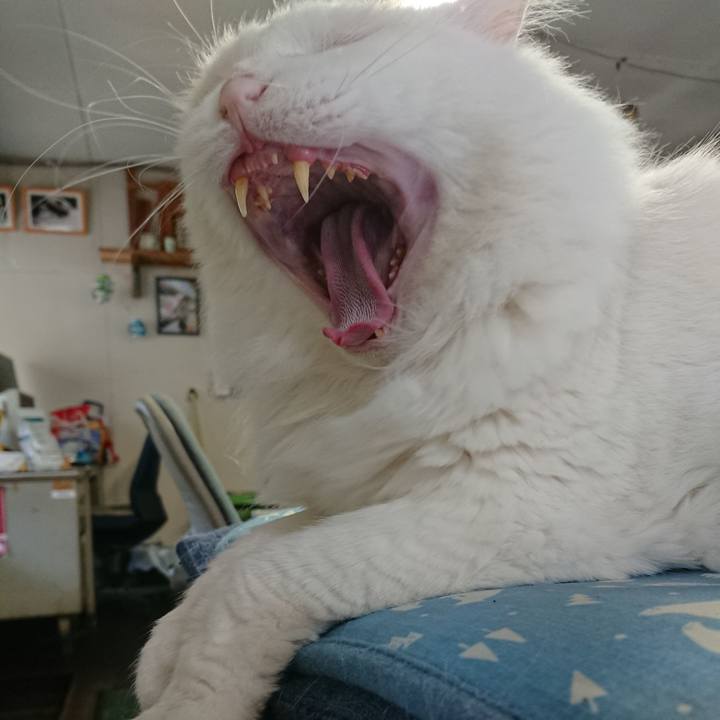 E00a5cdf aaea 4910 8e45 205a4287e7e3 1564525686358