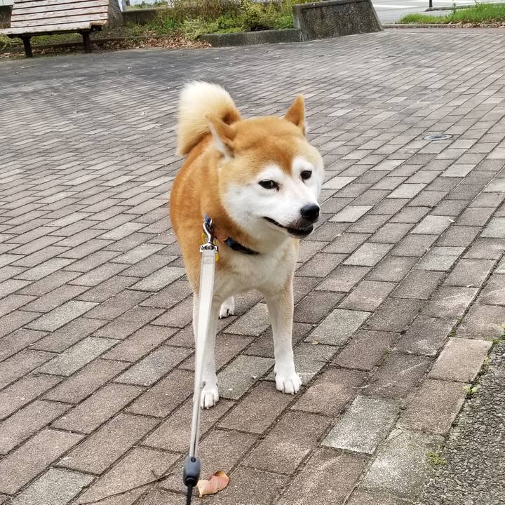 E00a63d2 5f5a 4163 9991 55692bd9b65b 1571378768711