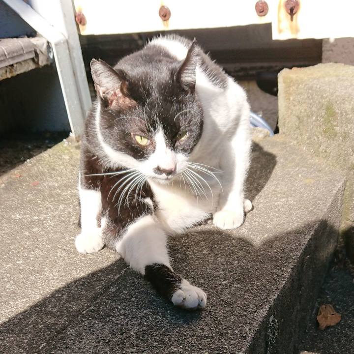 E00a7a64 1748 4af4 bc4f 536c82c0f278 1547435711557