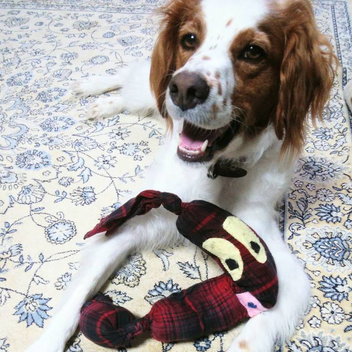 E00a9a70 c43a 4f50 aa60 b247bdadee79 1532607110065