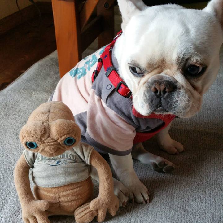 E00ad5ea 9c91 4749 b4ca f818646257ab 1644880470581